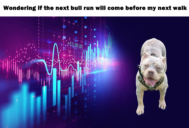 Brawly_official's tweet photo. When Bull Run?

https://t.co/b4cfirZYCH

#Crypto 
#memecoin 
#americanbully
#brawly https://t.co/carZf7kiwn