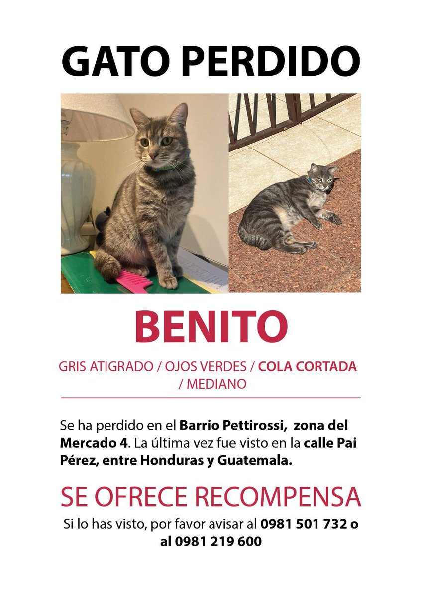 Buscamos a Benito RT 👇🏻