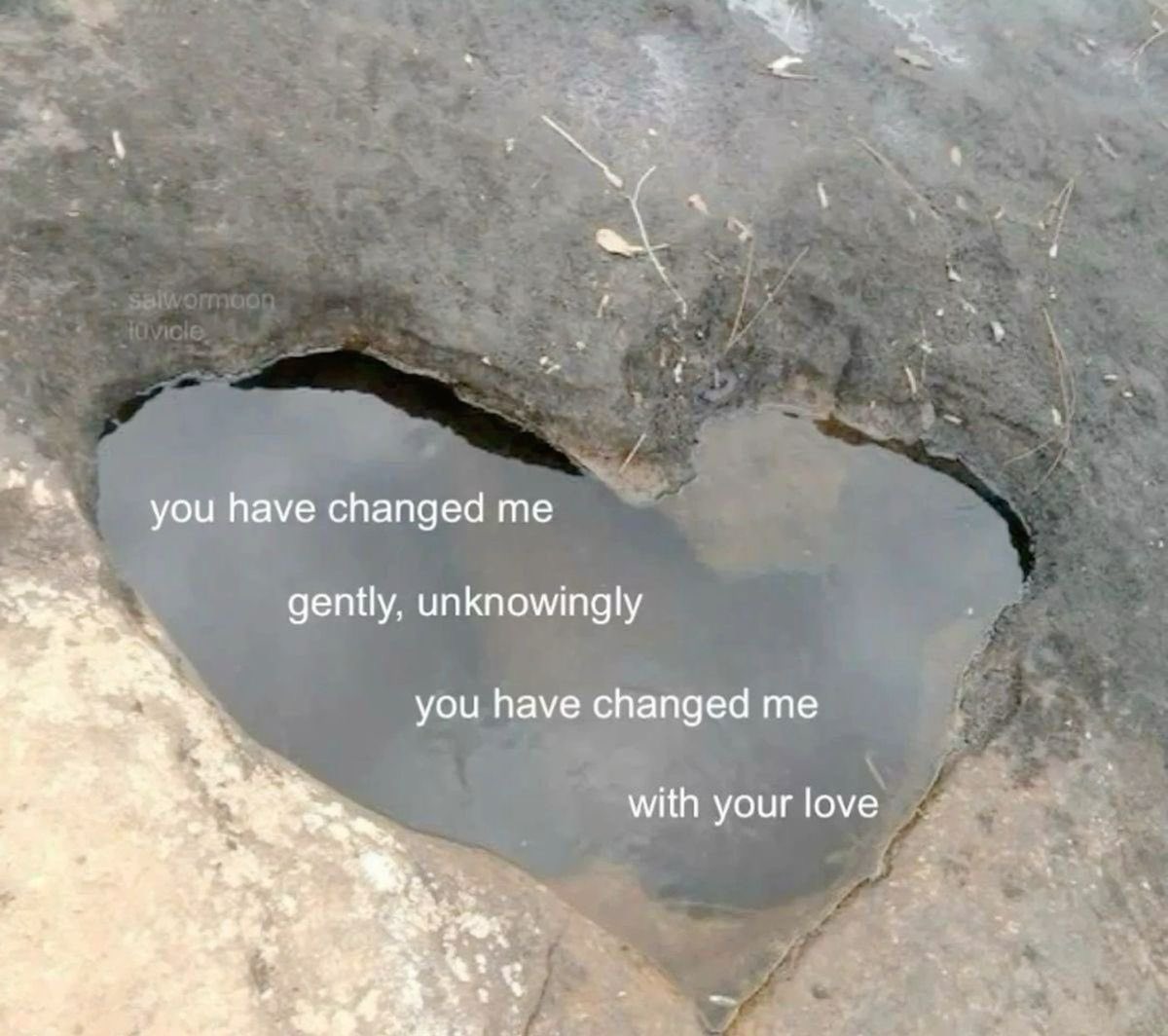 astralbaes's tweet image. 