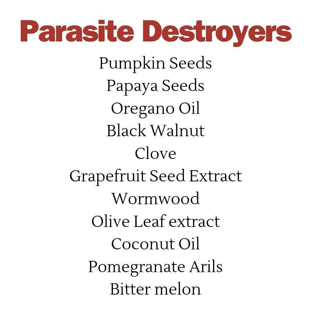 WaterExplained's tweet image. Humans have more parasites inside them than they know. Even if you're feeling well, they can be in you. Regularly adding any of the items below into your diet helps kill them off!