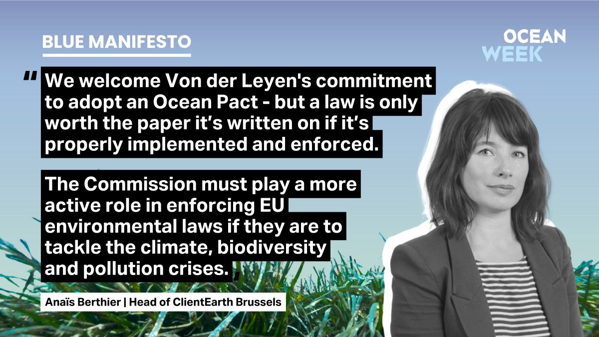 ClientEarthEUR's tweet photo. Our seas are at a tipping point. In our new #BlueManifesto, we outline an actionable rescue plan to secure ocean health by 2030. Now we need the @EU_Commission to follow it and enforce the already existing laws. This is key to protect our ocean and the people who rely on it. https://t.co/MMEzpKb4HY