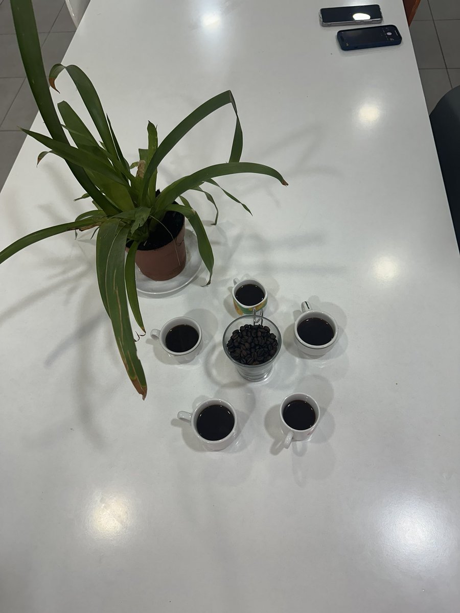 Trey Acttiv (@animation_trey) on Twitter photo Coffee is the best thing in life because it brings people together!
Happy #WorldCoffeeDay 😻☕️ <a href="/Radha_dadlani/">RadhaDadlani</a> <a href="/Yohady81/">Yohady</a> <a href="/lourdesGober/">LouRodriguezGober</a> Coffee is the best thing in life because it brings people together!
Happy #WorldCoffeeDay 😻☕️ <a href="/Radha_dadlani/">RadhaDadlani</a> <a href="/Yohady81/">Yohady</a> <a href="/lourdesGober/">LouRodriguezGober</a>