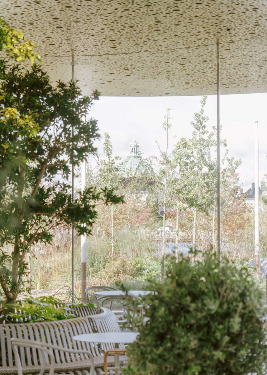 Wie beeinflussen unsere Gehirne, wie wir Schönheit erleben? Anjan Chatterjee, Experte für Neuroästhetik, spricht mit Elina Potratz darüber, wie Architektur visuell und emotional nachhaltig gestaltet werden kann. die-architekt.net/kohaerenz-fasz…