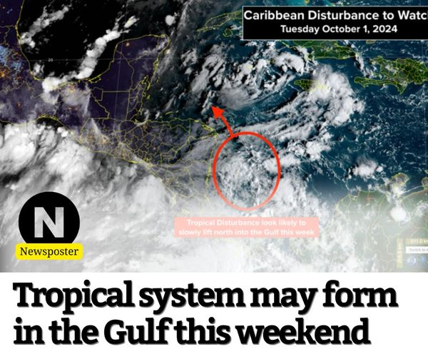 patreon.com/posts/tropical…