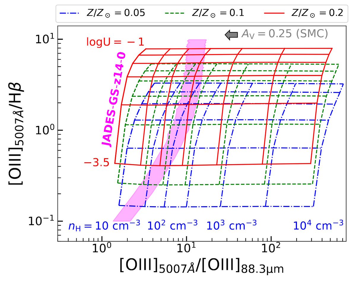 Jan Scholtz, Logic Wizard tweet media