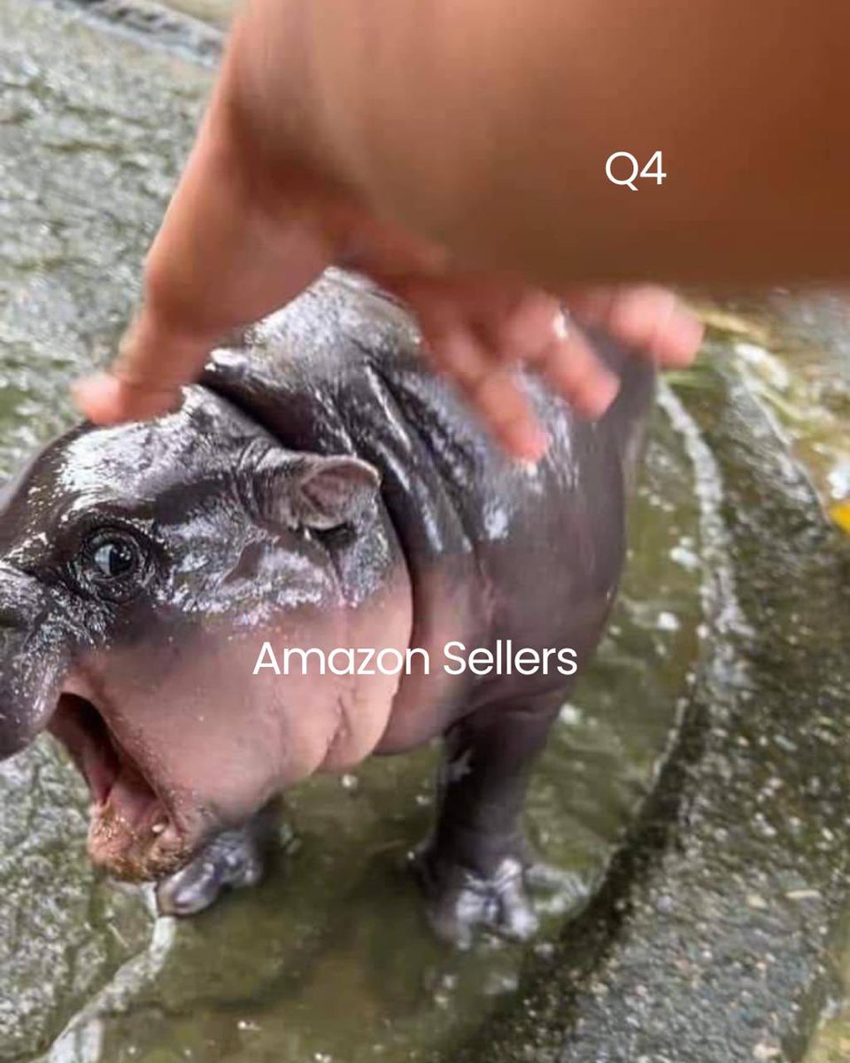 Seller Candy tweet media