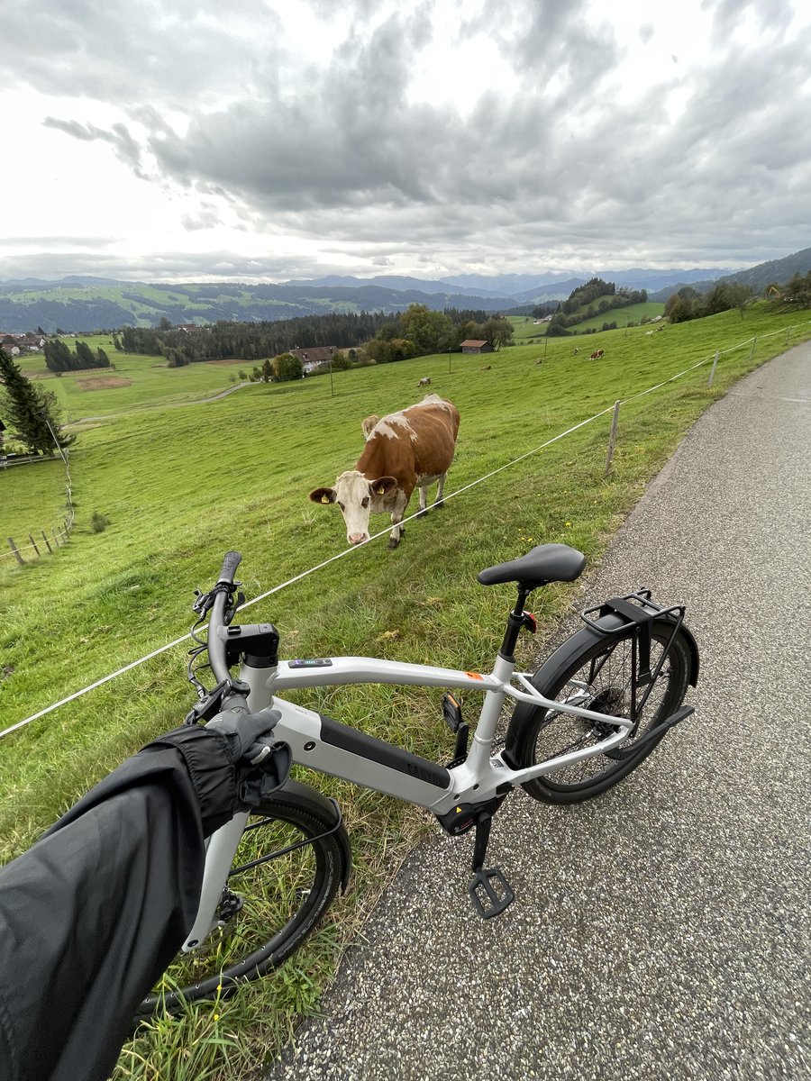 Marita Bernāne (@cunkam) on Twitter photo 