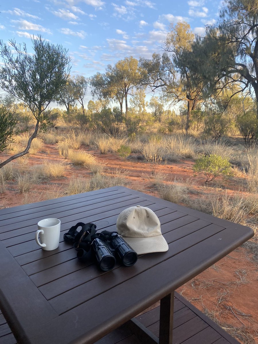 So nice to be looking for the cryptic ‘Sandhill Grasswren’ in red shandy hills around sunny Uluṟu. Perfect!