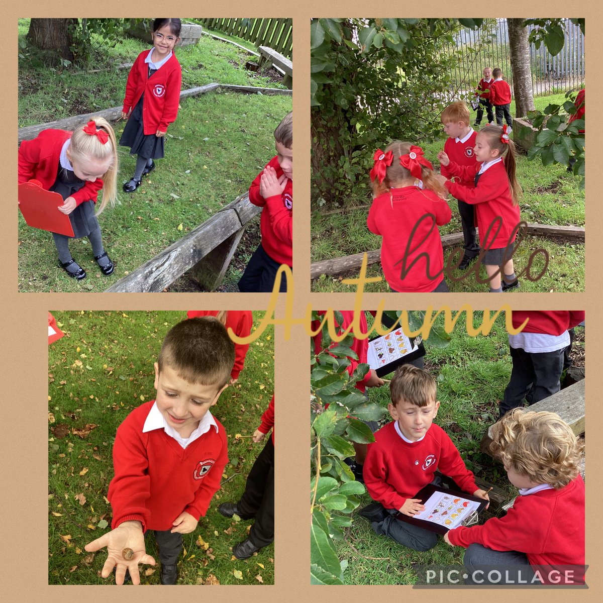 RavenscroftCP's tweet photo. Year 1 have been exploring our school grounds for signs of autumn 🍂 We found lots of colourful leaves, acorns and mushrooms #RealLifeScience #AutumnIsHere https://t.co/W6oqb5K0YO
