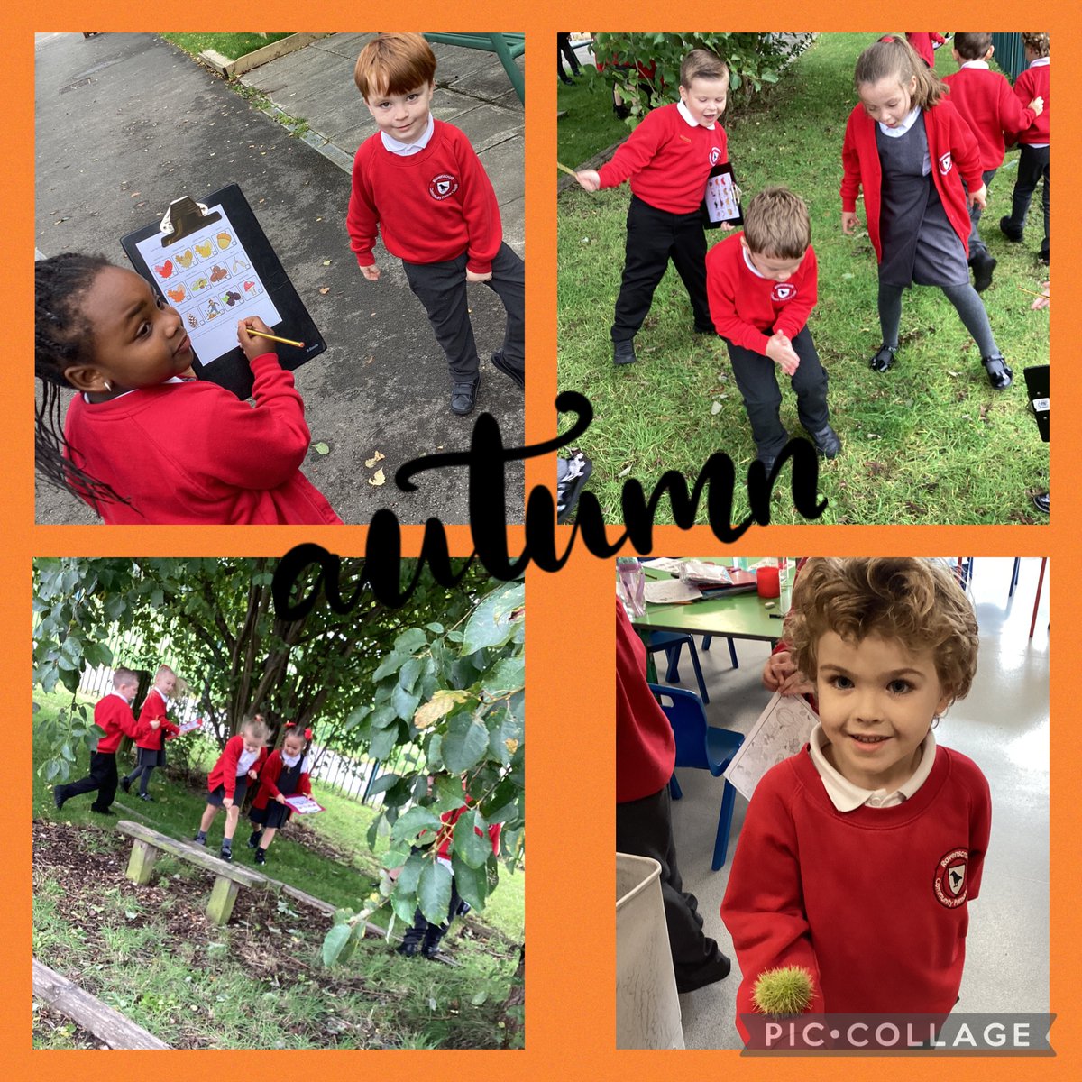 RavenscroftCP's tweet photo. Year 1 have been exploring our school grounds for signs of autumn 🍂 We found lots of colourful leaves, acorns and mushrooms #RealLifeScience #AutumnIsHere https://t.co/W6oqb5K0YO