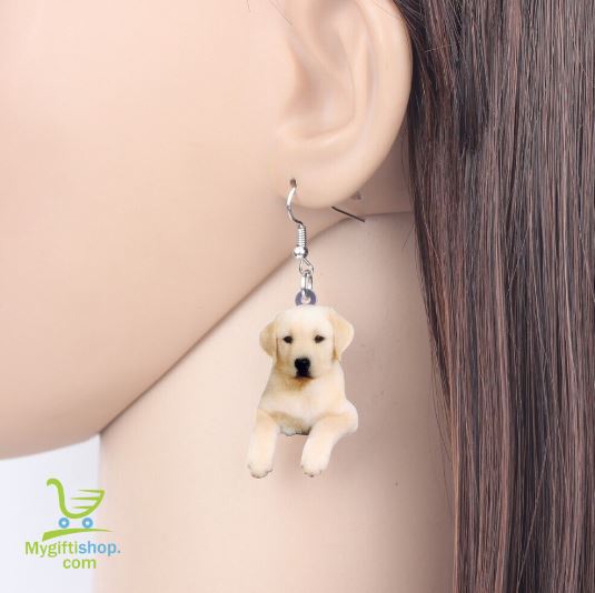 Labrador Lover tweet media