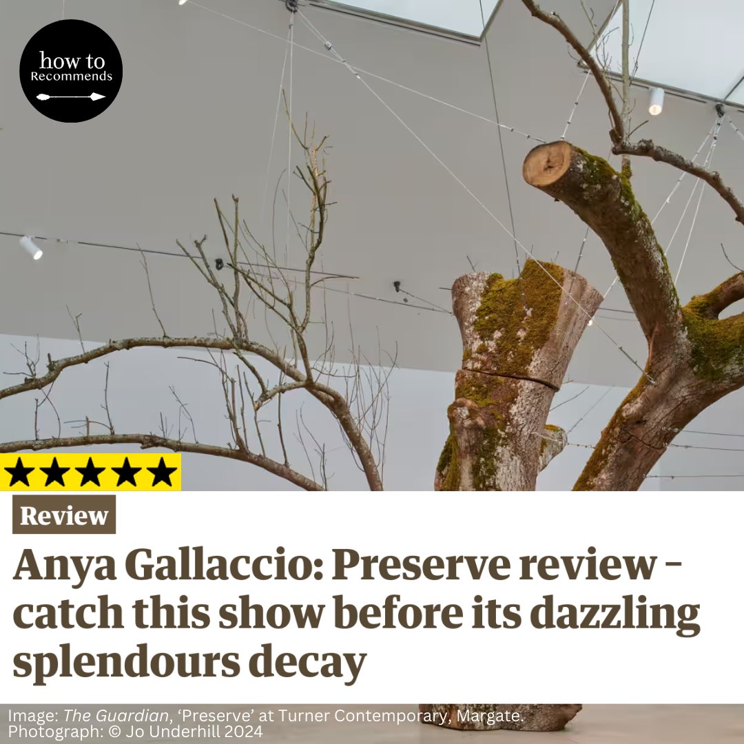 This week, we're spellbound by <a href="/HettieJudah/">Hettie Judah</a>'s stirring review in the <a href="/guardian/">The Guardian</a> of #AnyaGallaccio's new exhibition, 'Preserve' at <a href="/TCMargate/">Turner Contemporary</a>. A lyrical contemplation on impermanence, Judah's review illuminates the breathtaking expanse of Gallaccio's exhibition.