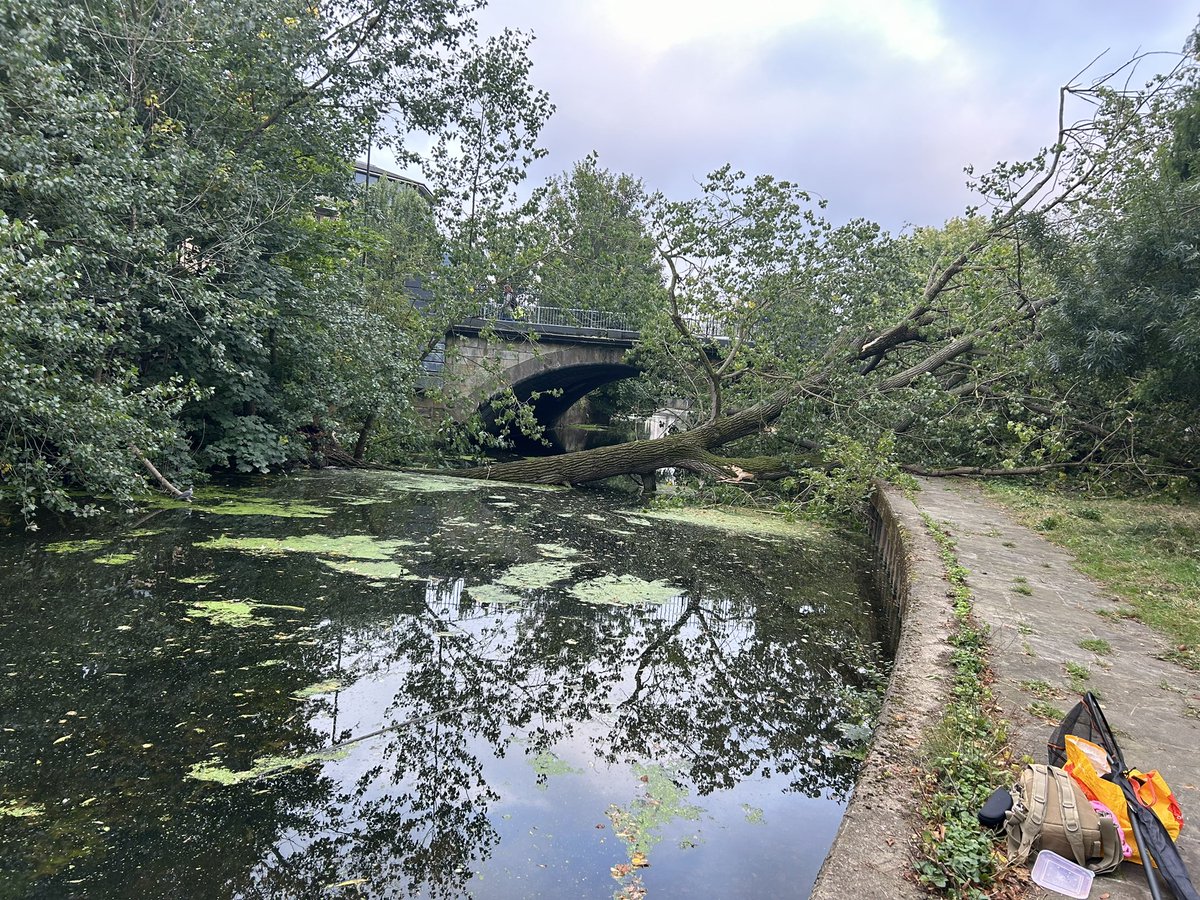 Gwen Swinburn 🇬🇧🇺🇦 (@gswinburn) on Twitter photo The big tree that fell from the <a href="/FossFairyTrail/">TheFossFairyTrail</a> now all gone, very sad for this pocket park where community had been working hard to improve 😪 <a href="/CityofYork/">City of York Council</a> <a href="/EnvAgencyYNE/">Environment Agency - Yorkshire & North East</a> <a href="/rachel_melly_/">Rachel Melly</a> <a href="/anthonysclarke/">Tony Clarke</a> The big tree that fell from the <a href="/FossFairyTrail/">TheFossFairyTrail</a> now all gone, very sad for this pocket park where community had been working hard to improve 😪 <a href="/CityofYork/">City of York Council</a> <a href="/EnvAgencyYNE/">Environment Agency - Yorkshire & North East</a> <a href="/rachel_melly_/">Rachel Melly</a> <a href="/anthonysclarke/">Tony Clarke</a>