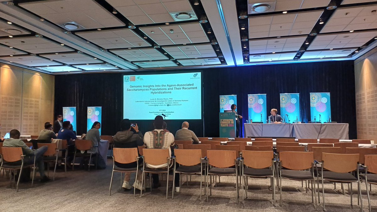Exciting sessions in the afternoon, and two manuscripts finally submitted in the coffe break in the most inspiring #yeast environment possible at ITC Cape Town:) #yeasts2024
