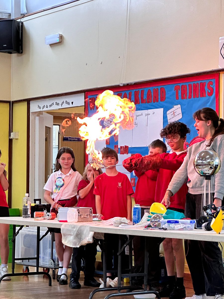 Falkland Primary tweet media