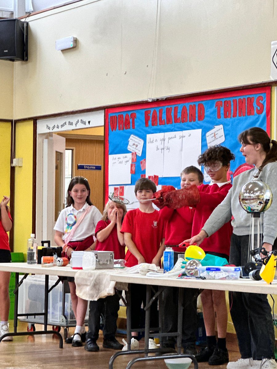 Falkland Primary tweet media