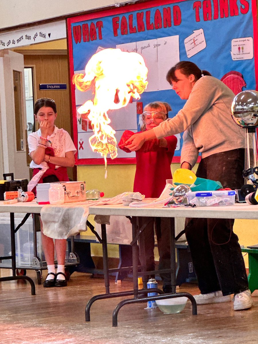 Falkland Primary tweet media