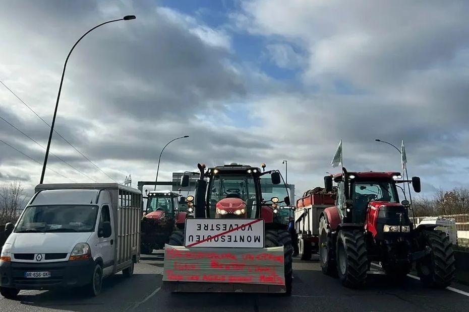 "Si on n'est pas entendu, on haussera le ton" : les agriculteurs repassent à l'action, on vous dit à quoi vous attendre france3-regions.francetvinfo.fr/occitanie/haut…