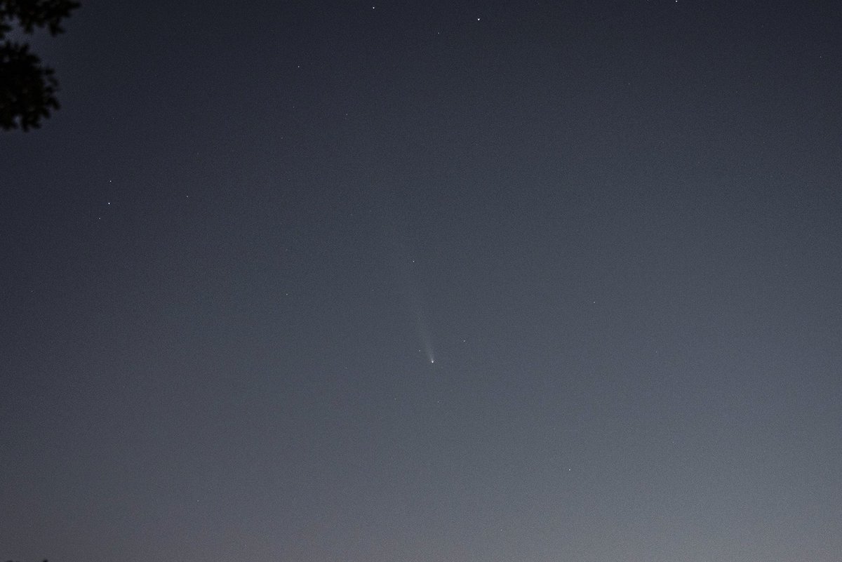 KeithMinor15's tweet photo. @ShoemakerMicah @DavidFinfrock @RickMitchellWX @SDaviesNBC5 @GrantJNBC5 @BrianJamesWx @ksmithnbc5 @troykimmelwx @ChikageWeather @Fox4Weather Photos of the Tsuchinshan-ATLAS comet tonight through the hazy north Texas skies (10/15/24). https://t.co/nA5jGV68ZE