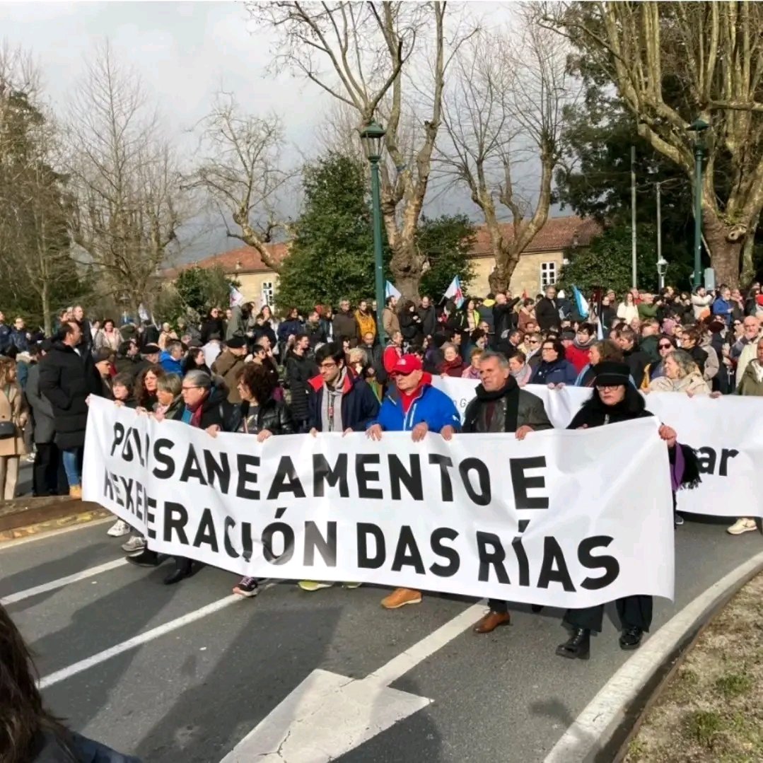 Morgade8's tweet photo. @mitecogob @UlloaViva @PSOE @PSdeG @jrgomezbesteiro @AlfonsoRuedaGal @Diario_Pontev @Farodevigo @PontevedraViva @lavozdegalicia @EU_ENV @EU_Commission @EUProsecutor @PoderJudicialEs @VSinkevicius @Teresaribera @defensadaria @Lorespontevedra @apdr @anamirandapaz @Greenpeace Temos un plan, conseguiremos REXENERAR A RÍA DE PONTEVEDRA!

Escoitas @AlfonsoRuedaGal ? 

ENCE FÓRA XA!

ALTRI NON!

(Botade un ollo a este traballazo de Jorge Rodríguez Álvarez, Sonia Vázquez-Díaz e os alumnos da ETSAC, grazas polo voso compromiso!) https://t.co/vubXfRXkHa https://t.co/PzbFFtt2pE