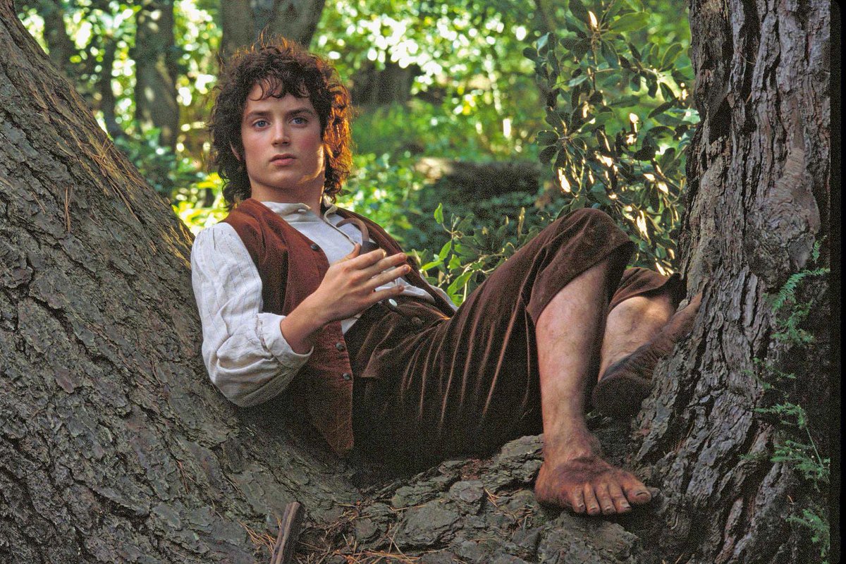 vertebrats's tweet photo. a hobbit’s dogs never bark https://t.co/cSHonLd4Bm