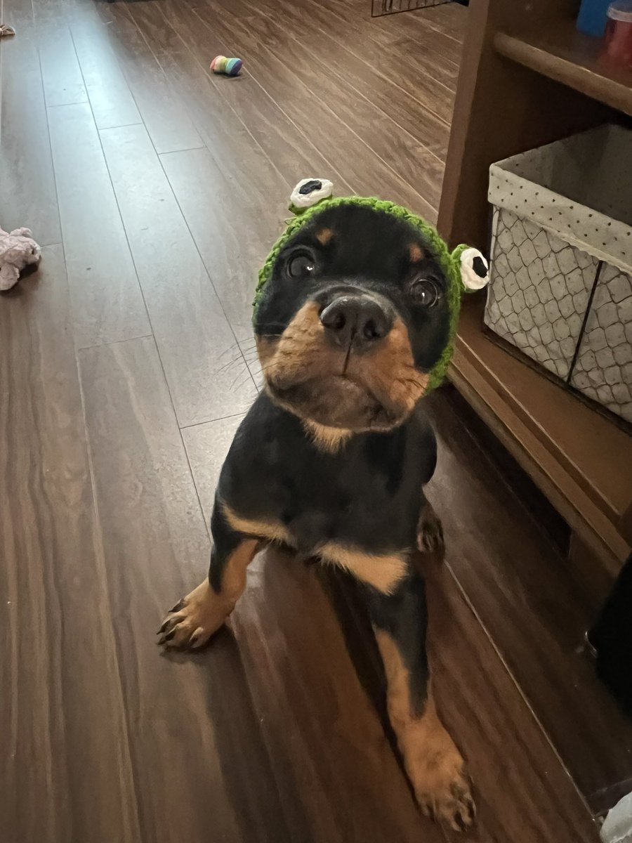 Ilona Dusk tweet media