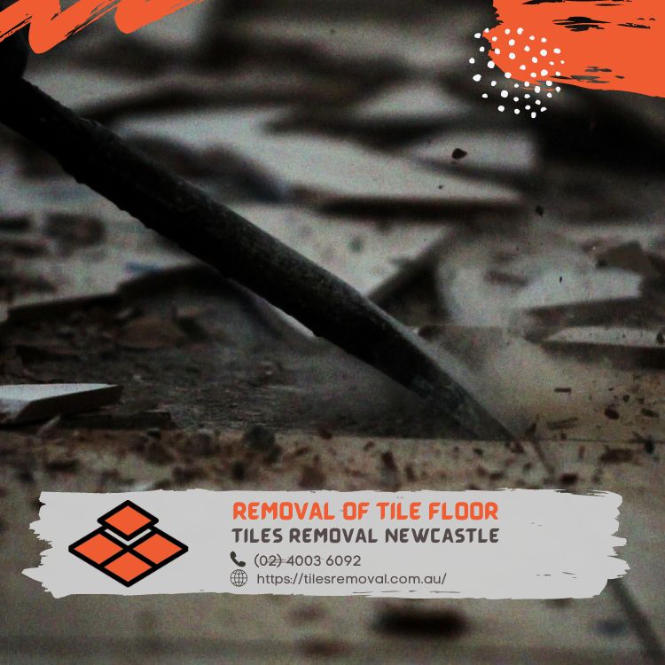 RemovalTiles's tweet photo. Our commitment to quality ensures that your flooring project is handled with care and precision.

Tiles Removal Newcastle
3/82 Selwyn Street Merewether NSW 2291 https://t.co/fDyMl3SKiF