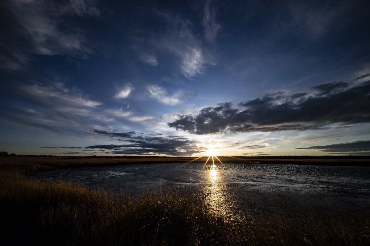jackchensy's tweet photo. 10/15 on the marsh https://t.co/hU7aGLlHwS