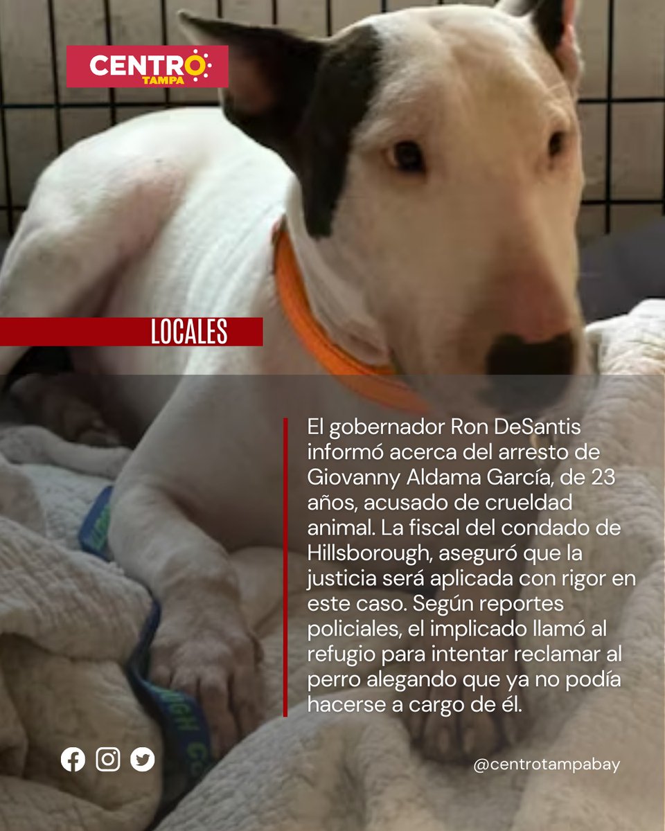 centrotampabay's tweet photo. Locales | El gobernador Ron DeSantis informó acerca del arresto de Giovanny Aldama García, de 23 años, acusado de crueldad animal. La fiscal del condado de Hillsborough, Suzy López, aseguró que la justicia será aplicada con rigor en este caso.

#CENTROTampa #Tampa #Noticias https://t.co/ZSCERuVvy5