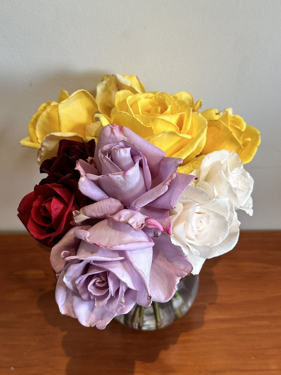 Mellieach's tweet photo. Sometimes on a Wednesday you need to stop and smell the roses. And then cut them and bring them in your house! 🌹🥀 #roses https://t.co/R9WbizRlfB