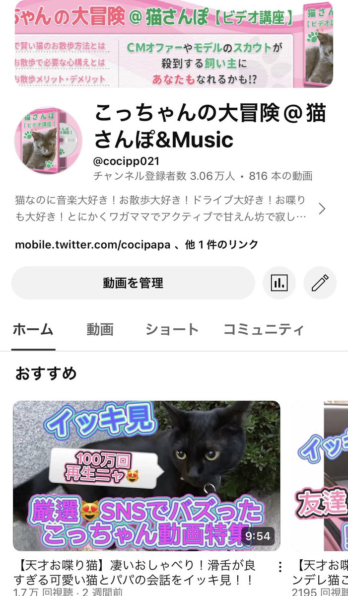 cocipapa's tweet image. 【遂に3万人突破😻😻😻】
こっちゃんYouTubeも頑張ってますニャ😻ロング動画はこっちで見てニャー😸
プロフィール欄のURLから見れますよ❣️