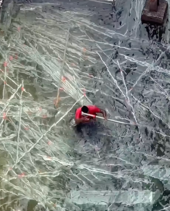 Jack Snape tweet media