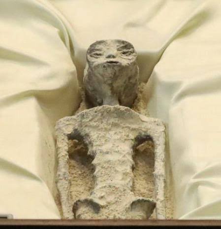 Aileendruiz's tweet image. Cher a los 78     /     Yo a los 25