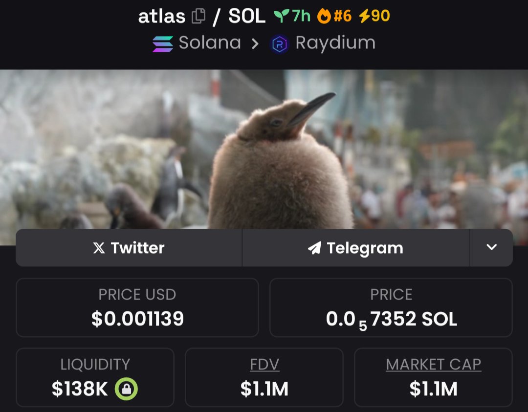 0xsushi's tweet photo. I like this penguin https://t.co/861y1hibGV