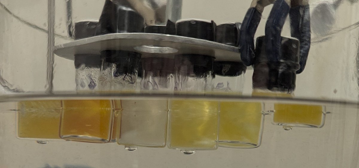 Ligand and Base screening day 😍🌈