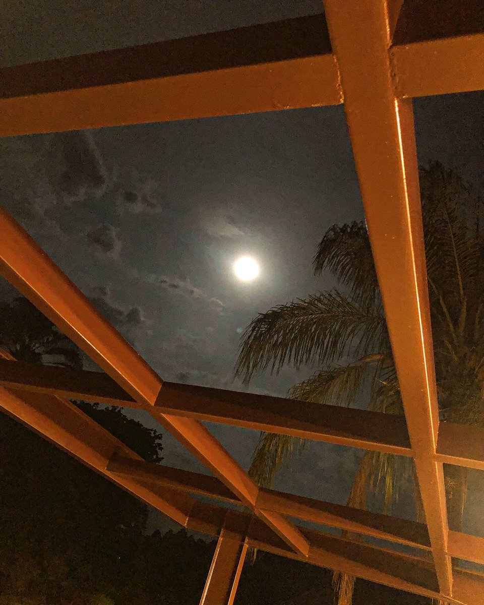 DaniloA08106919's tweet photo. Ei-la soberana e fulgurante às 7h de uma noite de primavera.

#lua #luacrescente #moon #sky #noitedeprimavera #spring #natureza #naturephotography #photography #fotografia https://t.co/J04vkPEgiu