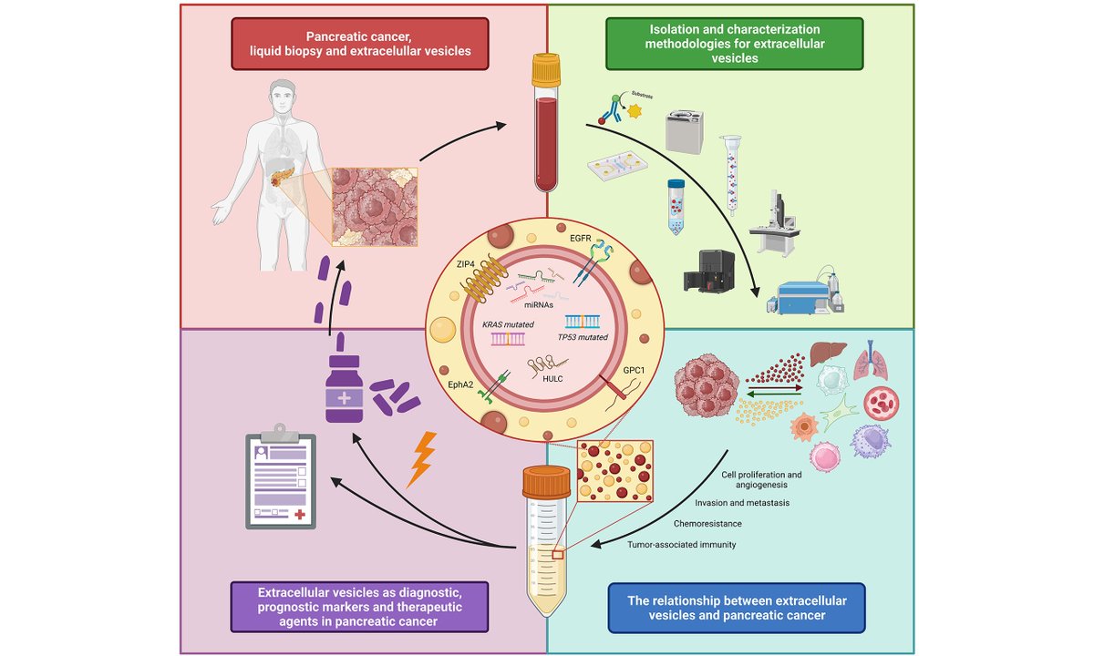 Exciting insights on the potential clinical applications of extracellular vesicles in #pancreatic cancer! 🌟 From #biomarkers to novel therapies, this review by Sanchez-Manas et al. explores untapped opportunities. Read more: oaepublish.com/articles/evcna… #ExtracellularVesicles #Cancer