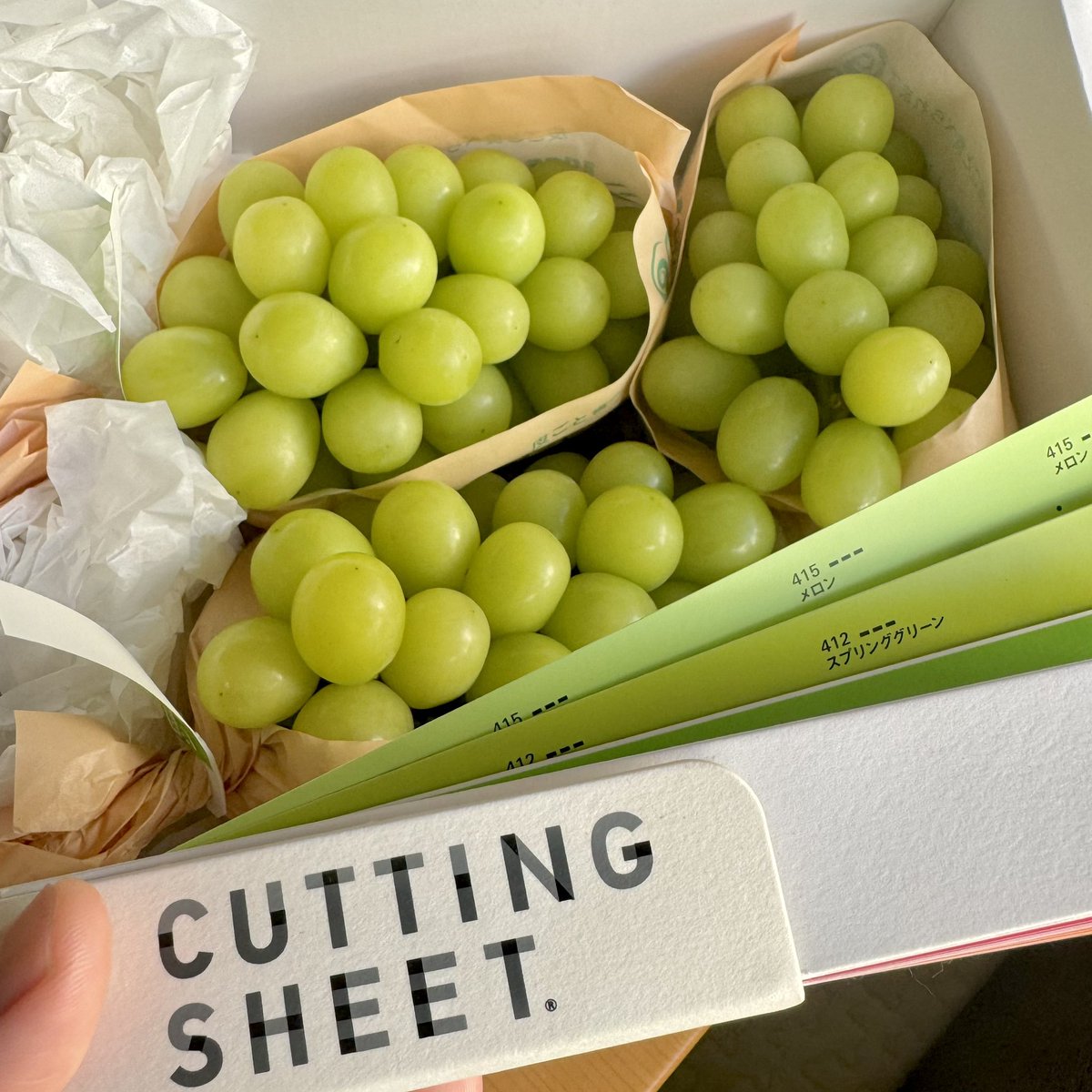 KiaiChemical's tweet photo. Delicious Shine Muscat from my brother!
#シャインマスカット #shinemuscat 
#lovecuttingsheet #カッティングシート #色見本帳 #lovecolors #playwithcolors #色遊び #design  #colors #色 #colorhunting  #cuttingsheet #中川ケミカル #nakagawachemical #エモい #japan #nagano #autumncolors https://t.co/fvoi5v1Cid