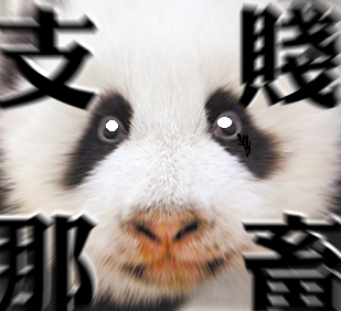 費布納西 tweet media