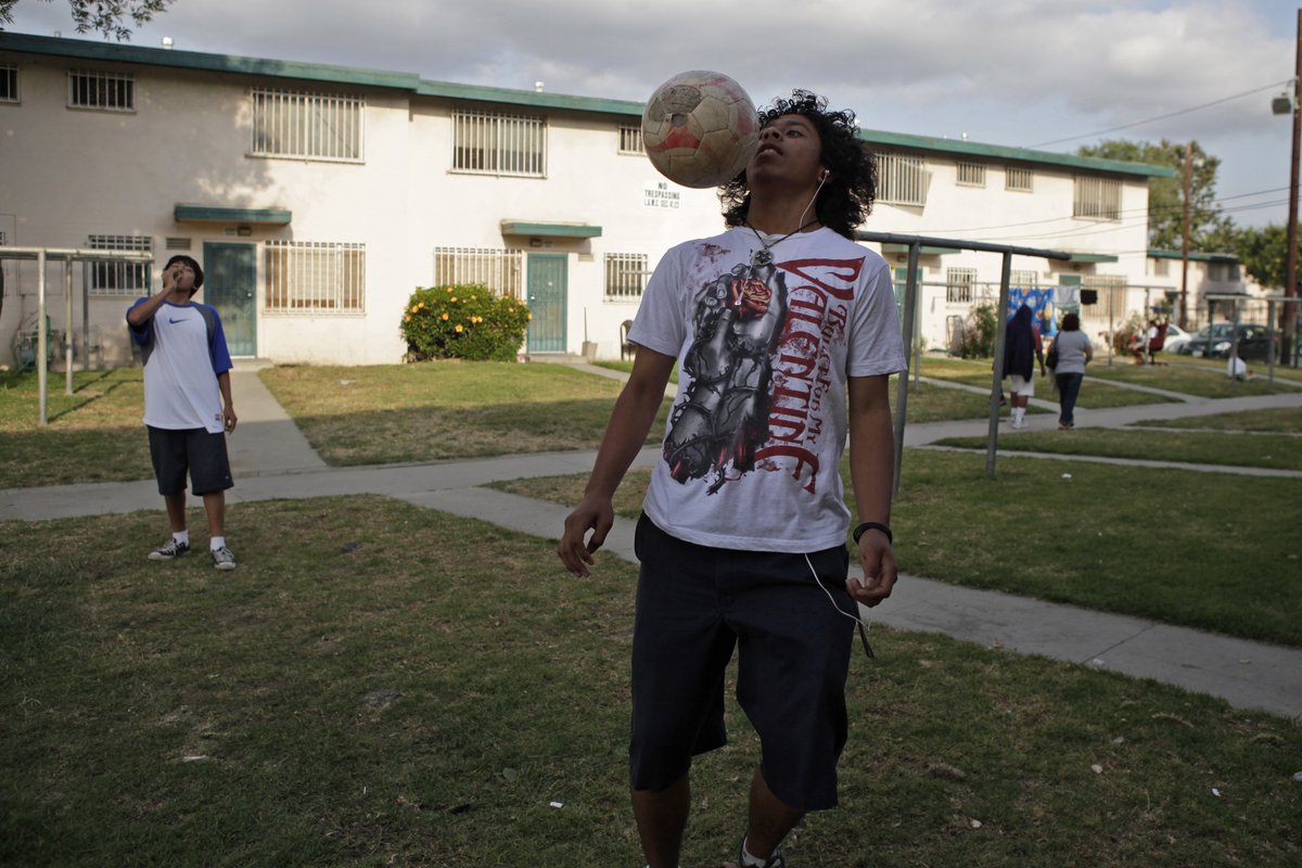 John B. Holbein tweet media