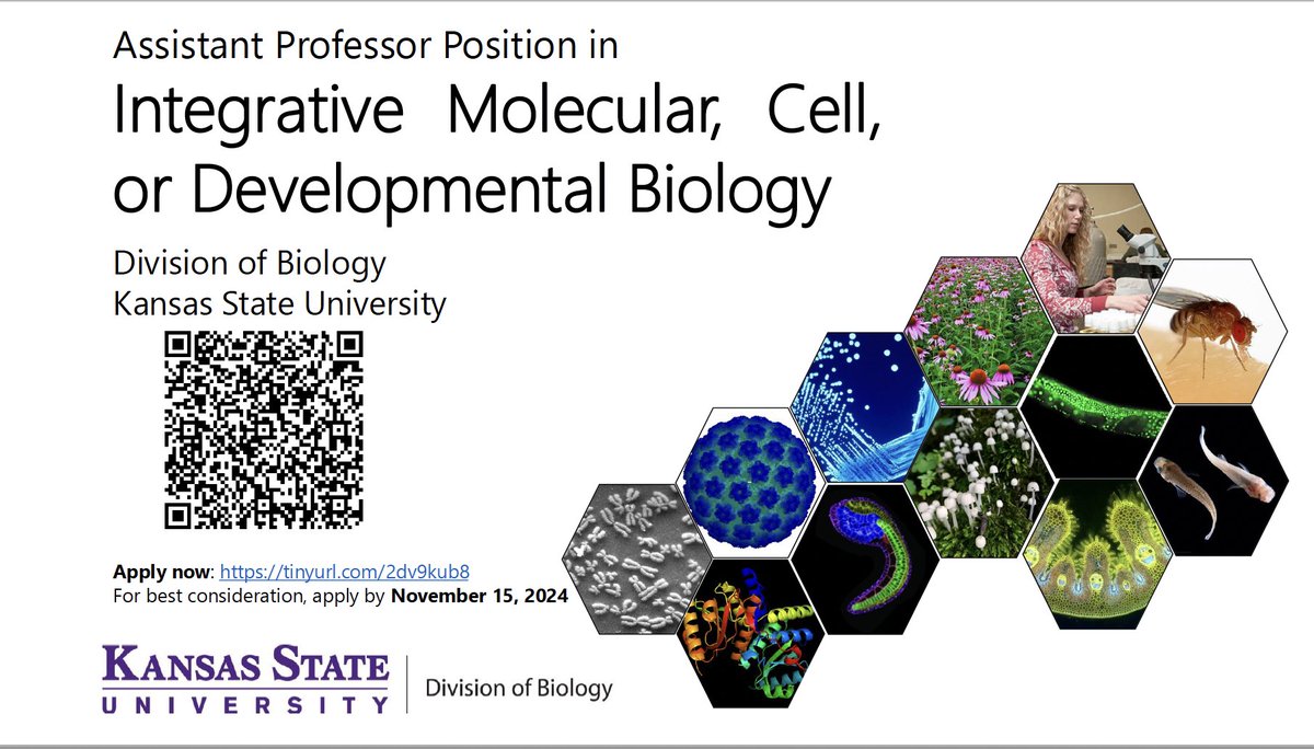 Faculty position: Asst Professor in Integrative Molecular, Cell, or Developmental Biology . Special interest in researchers using any invertebrate, including the breadth of research in these areas; also will consider vertebrate &amp; non-animal models 1/2
careers.k-state.edu/jobs/assistant…