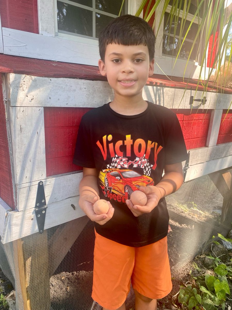 MrsMathis3rdGrd's tweet image. Our very own chicken farmer! First two eggs! @hcpsBailey 🥚🥚🐓