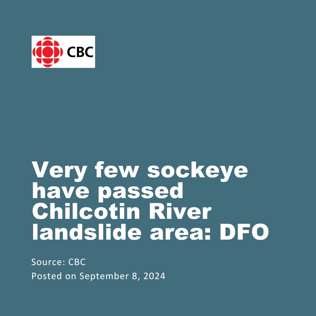 According to DFO, this year's sockeye salmon return to the Fraser River was the second lowest on record. The Pacific Salmon Commission reported that only 456,800 sockeye passed through the river, barely surpassing the record low of 396,000 set in 2020.   

For Chief Joe Alphonse,