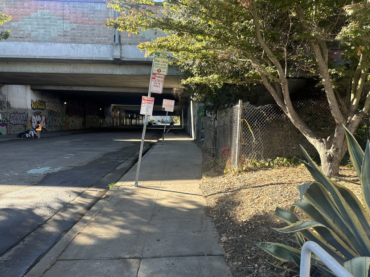 Grateful for Oakland’s cleanup on 29th St this week! First time in 4+ years both sidewalks are visible &amp; accessible. Thanks to every city worker involved in this Herculean effort! Hopeful for healthier &amp; safer living environments for all. #Oakland @CmbrFife <a href="/MayorShengThao/">Mayor Sheng Thao 市长 盛桃市长 盛桃 (Parody)</a>