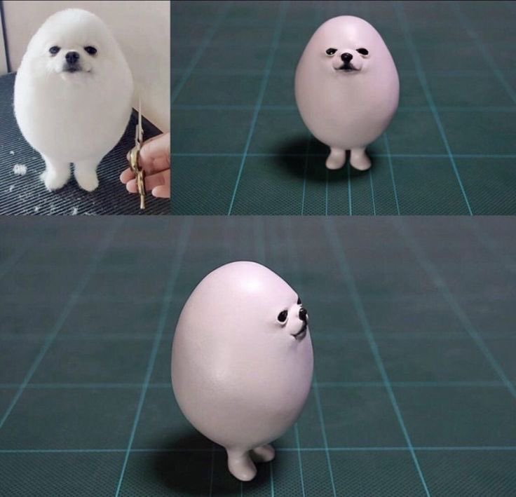 ㅤ
