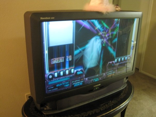 When IIDX16 CS came out, I hosted a launch party. My friends and I took turns posing for the camera wearing the Empress Hat and holding the Empress Jewel (pink gem paperweight), and we set up both the Empress disc + Premium Best disc on two TVs.
