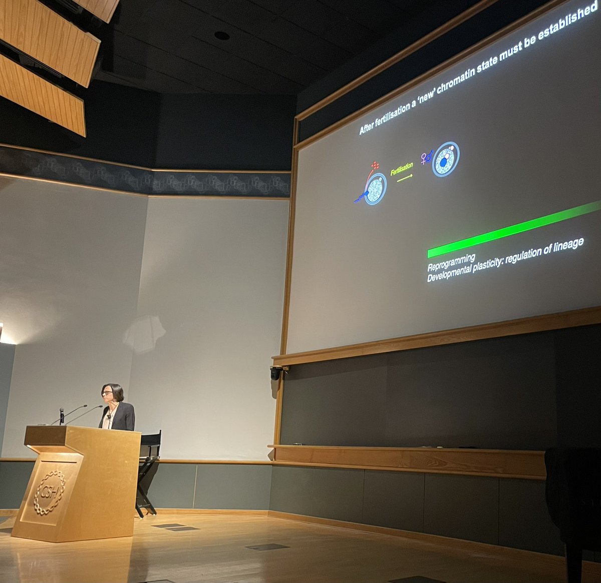 Cedric🧬➰🧬Feschotte tweet media