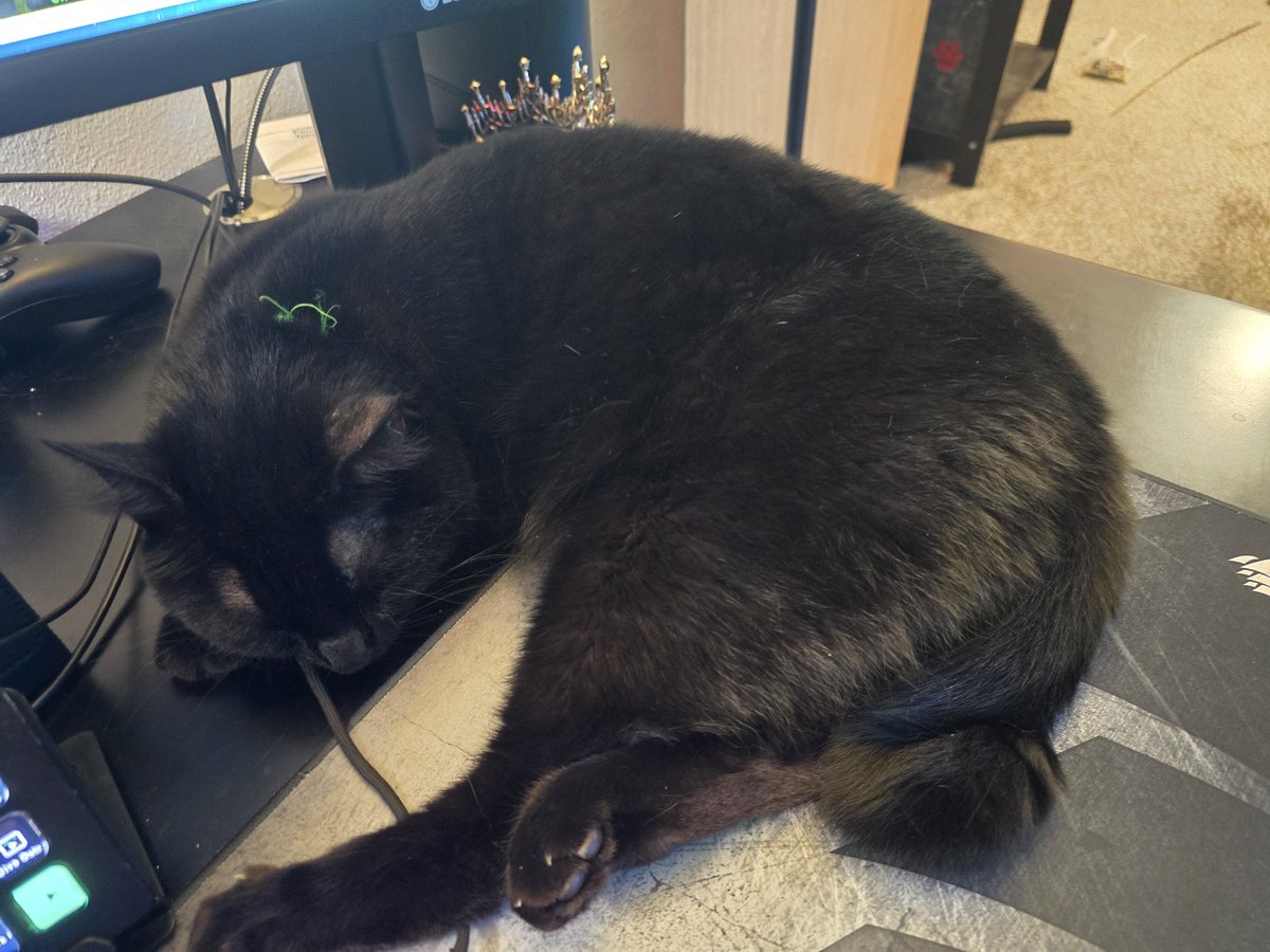I cannot move my mouse. Best problem to have

Twitch.tv/CidO