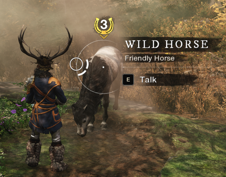 I love you WILD HORSE (Friendly Horse)