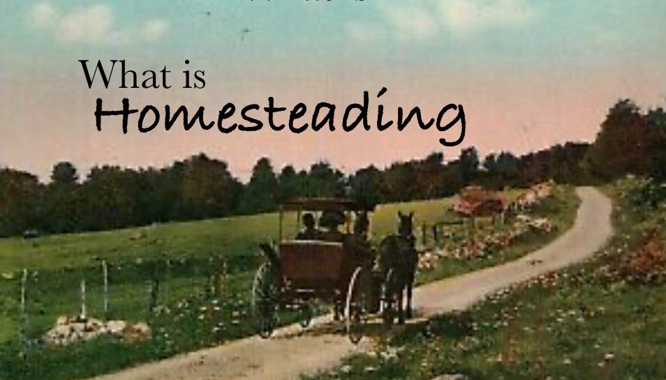 PhilChamberlin5's tweet image. #homesteading #farming #selfefficient 
#independent youtube.com/live/N1O5c7USY… &amp;lt;click